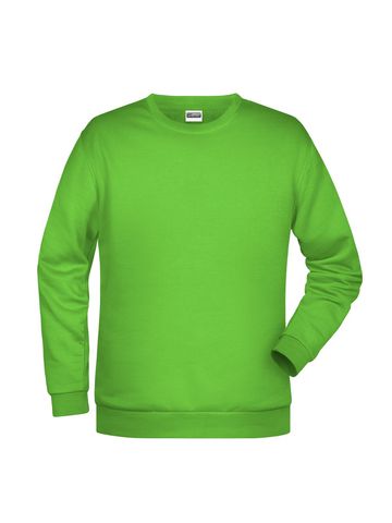 Felpa Basic Sweat Man - 794 - James & Nicholson - immagine 15