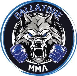 Logo Ballatore