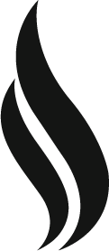 Logo Flow