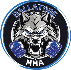 Logo Ballatore