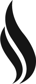 Logo Flow